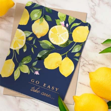 WILLOW & IVY PRESS